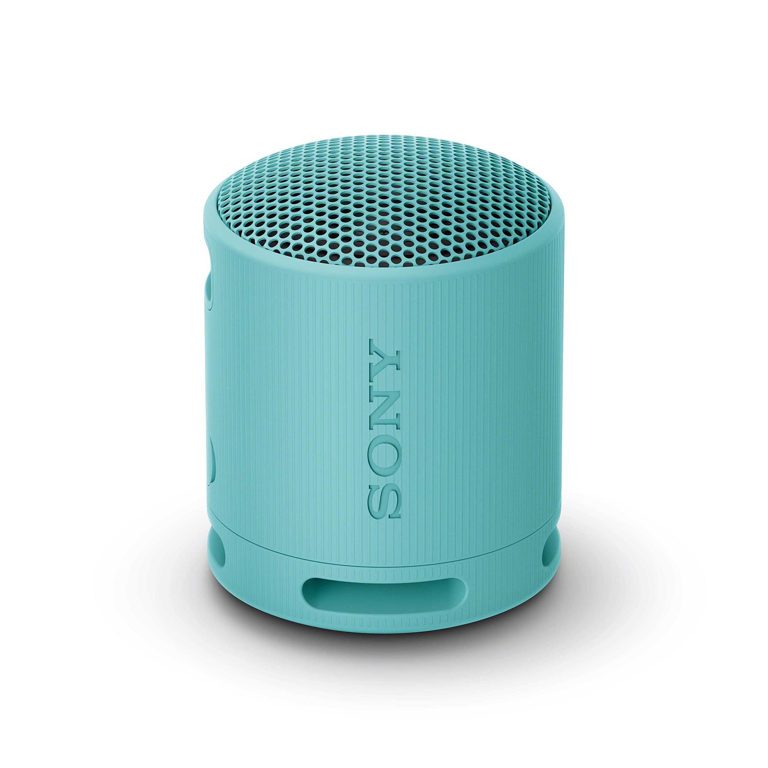 Sony SRS-XB100
